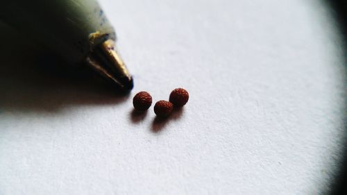 High angle view of seeds and pen white table