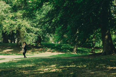 People walking in park