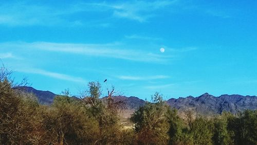 Scenic view of mountains against blue sky