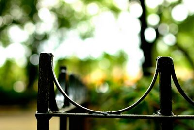 Close-up of chainlink fence