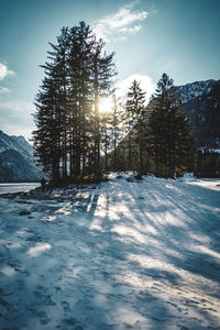 Snow covered landscape against sky during winter