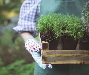 Woman holding potted plant