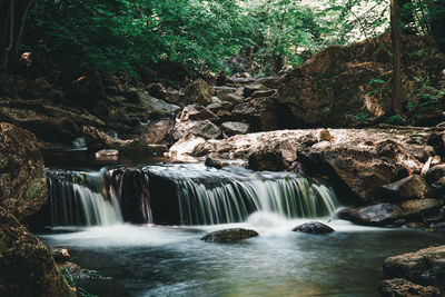 Scenic view of waterfall in forest