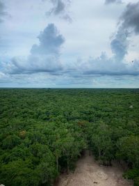 Scenic view of agricultural field against sky