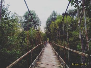 Footbridge amidst trees in forest