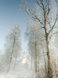 Low angle view of bare tree against sky during winter