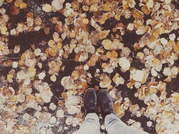 Low section of man standing on dry leaves