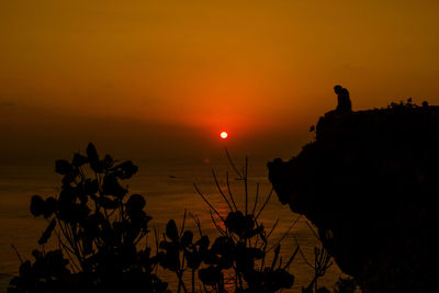 Silhouette plants by sea against sky during sunset