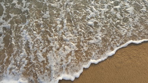 Scenic view of surf on beach during sunny day