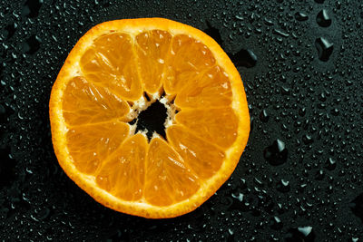 Close-up of orange slice in black background