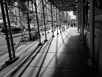 Footpath amidst trees in city