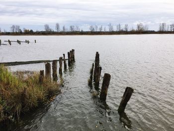 Wooden posts in lake against sky