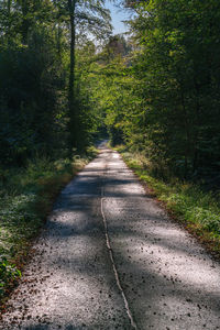 Empty road along trees in forest