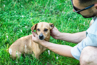 Man is holding dog's face in hands sitting on a grass in park. concept friendship of owner and pet.