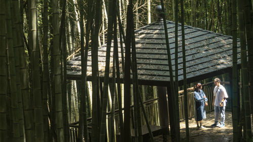 Rear view of  couple walking in forest