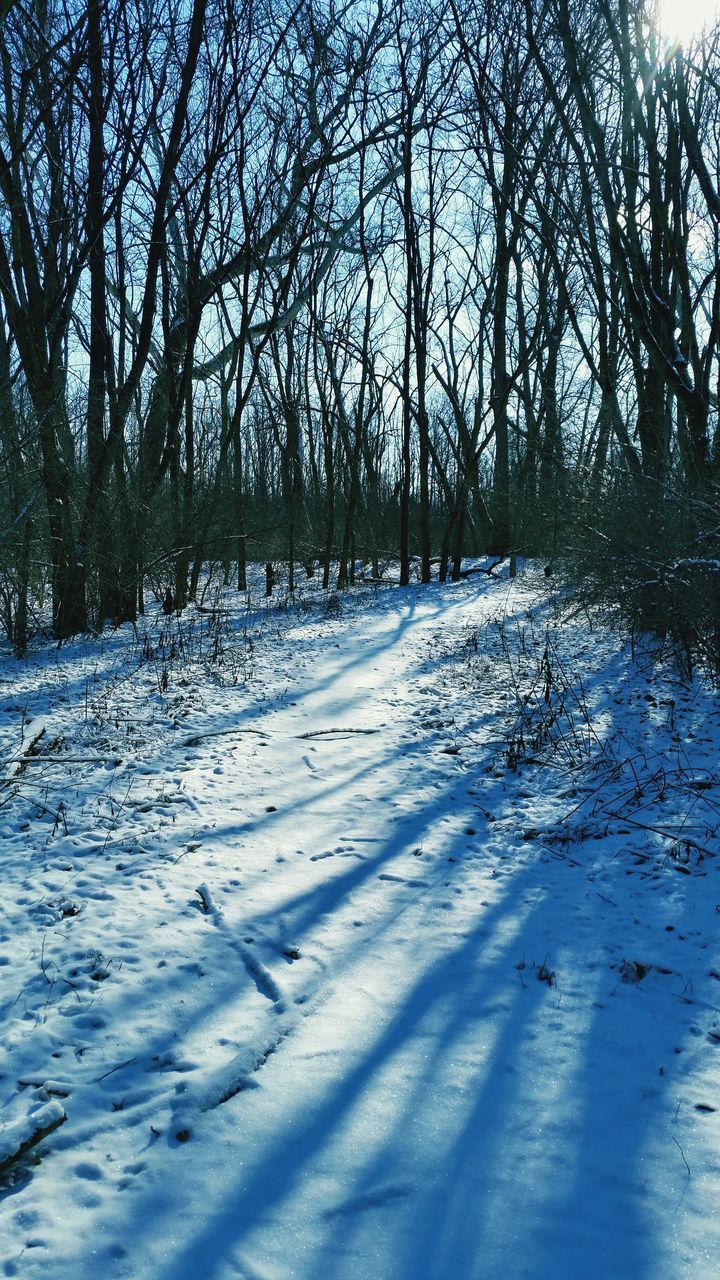 snow, winter, cold temperature, season, tree, weather, covering, frozen, tranquility, bare tree, nature, tranquil scene, white color, beauty in nature, landscape, scenics, covered, cold, snow covered, branch