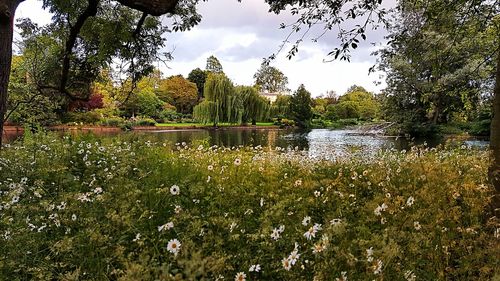 Scenic view of lake against cloudy sky