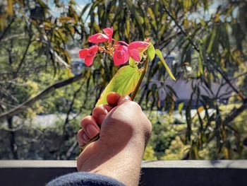 Midsection of person holding red flowering plant