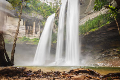 Scenic view of waterfall in forest