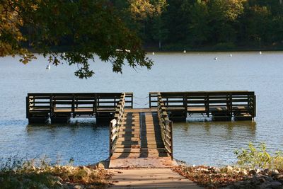 Pier on lake against trees
