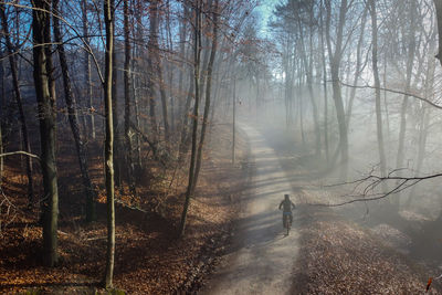 Man walking on road in forest