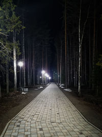 Footpath amidst trees at night