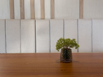 Close-up of potted plant on table against wall