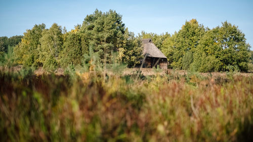 House on a field