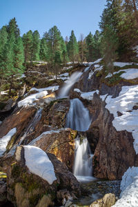 Scenic view of waterfall in forest