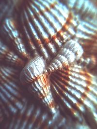 Detail shot of metal