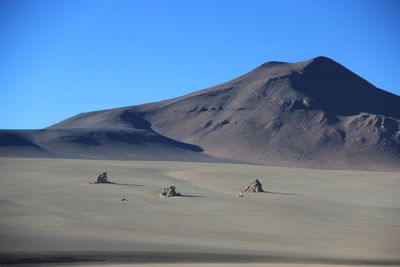 People riding in desert against clear blue sky