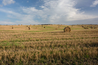 Hay bales on field against sky