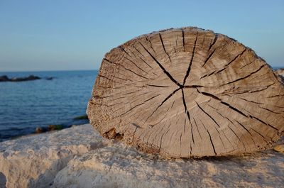 Close-up of tree stump by sea against clear sky