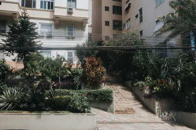 Trees and plants growing outside building