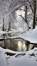 Scenic view of snow covered landscape