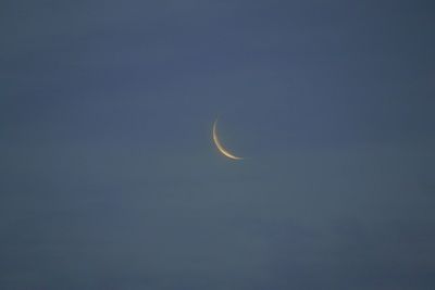 Low angle view of moon in sky at night