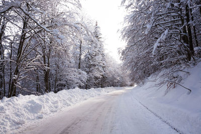 Snow covered road amidst trees during winter