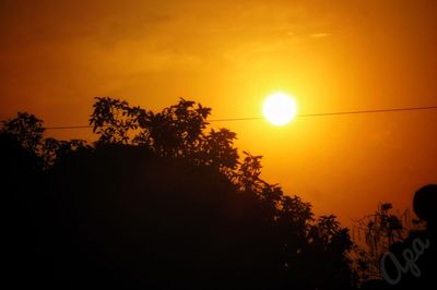 Low angle view of silhouette trees against orange sky
