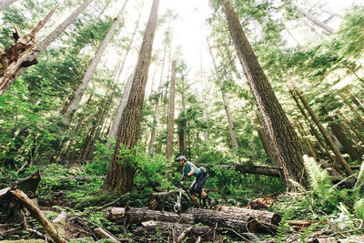 Two female bikers enjoy a trail in sandy, or near mt. hood.