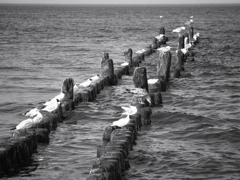 View of wooden posts in the sea