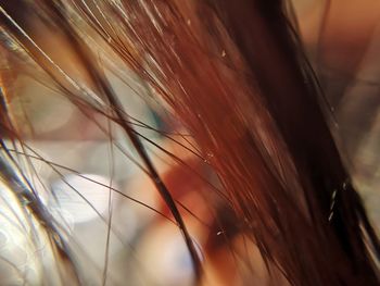 Macro shot of glass