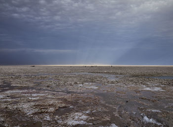 Scenic view of salt flat in desert against sky