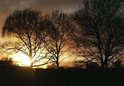 Silhouette trees against sky during sunset