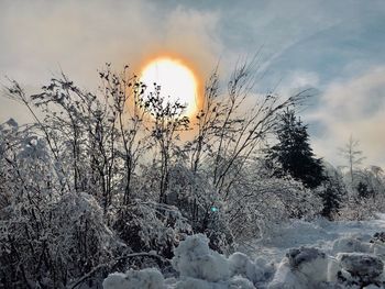 Scenic view of snow covered land against sky during sunset