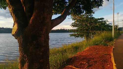 Scenic view of river against sky
