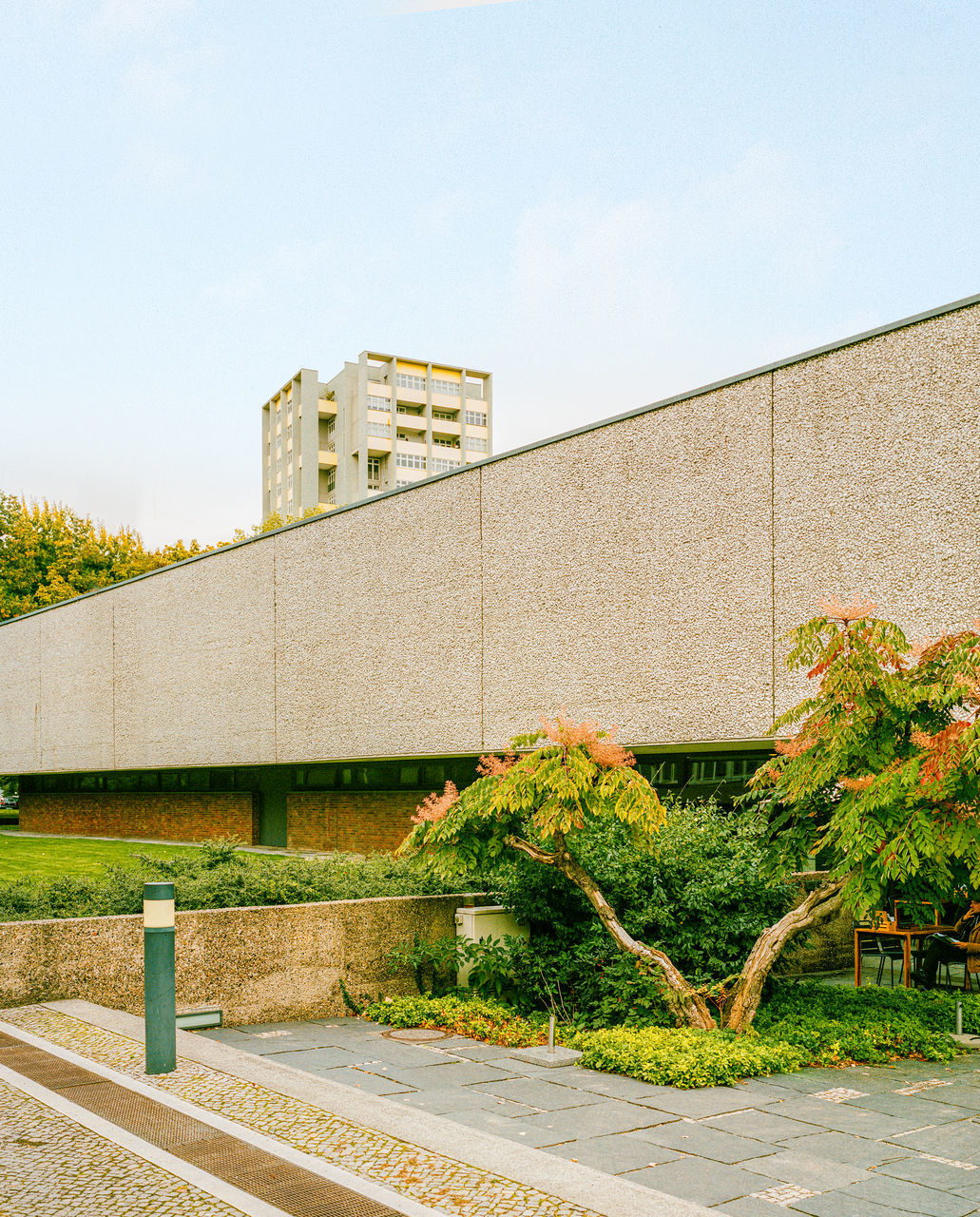 architecture, built structure, building exterior, wall, plant, sky, nature, day, building, no people, urban area, facade, city, outdoors, tree, neighbourhood, wall - building feature, house, estate, sunlight