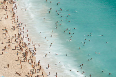 Aerial view of beach with crowd
