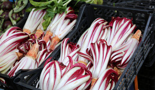 High angle view of vegetables for sale in market