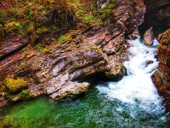 Scenic view of waterfall in forest