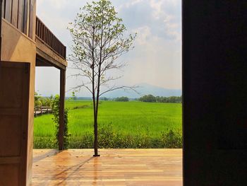 Scenic view of field against sky